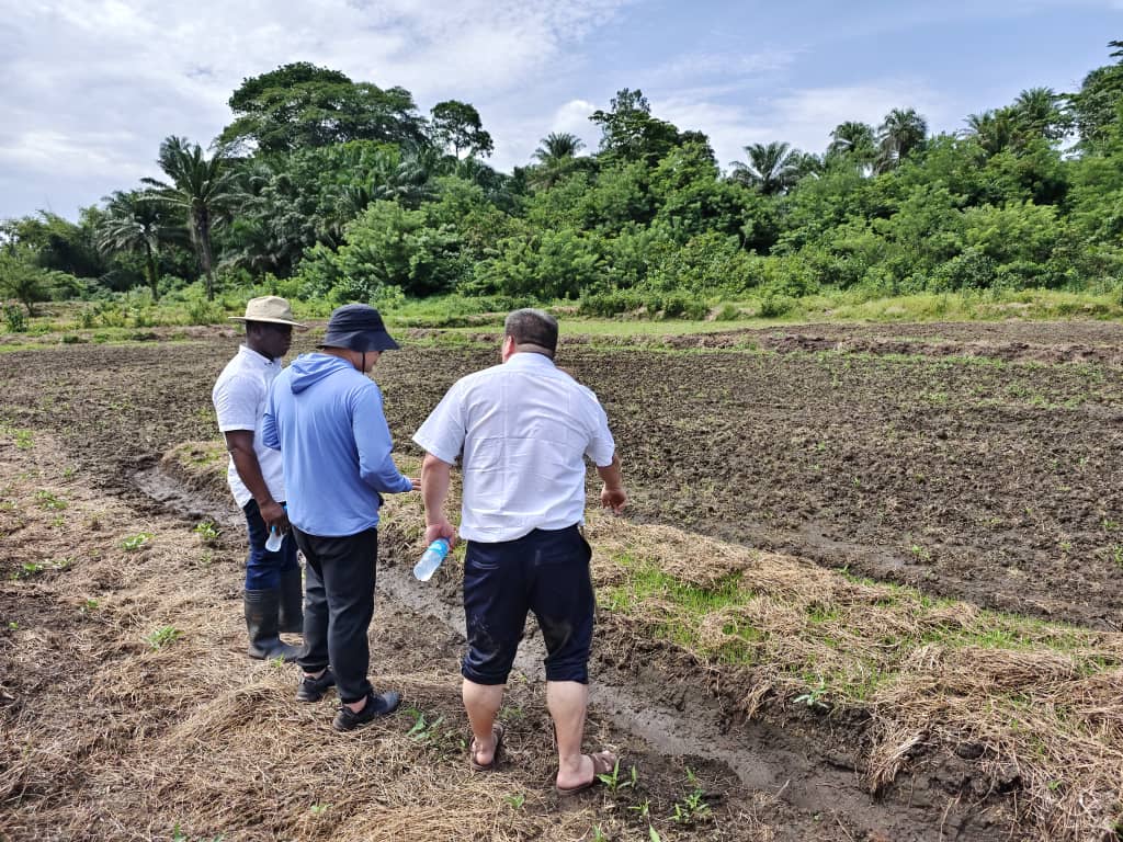 Big Boost For Rice Production (1)