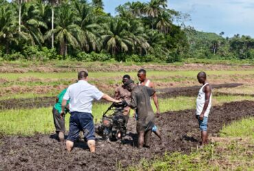 Big Boost For Rice Production As  Eco Rice Signs MoU With Chinese Company