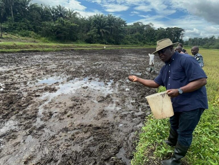 Eco Rice Sets To Hit The Market Again in December